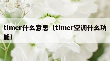 timer什么意思（timer空调什么功能）