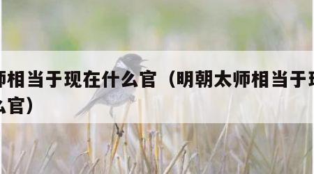 太师相当于现在什么官（明朝太师相当于现在什么官）