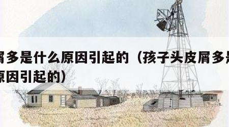 皮屑多是什么原因引起的（孩子头皮屑多是什么原因引起的）