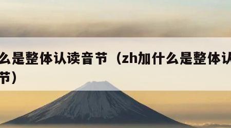什么是整体认读音节（zh加什么是整体认读音节）