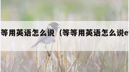 等等用英语怎么说（等等用英语怎么说etc）