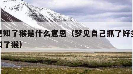 梦见知了猴是什么意思（梦见自己抓了好多活的知了猴）