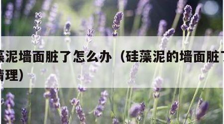 硅藻泥墙面脏了怎么办（硅藻泥的墙面脏了怎么清理）
