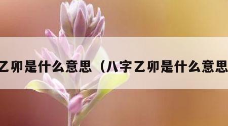 乙卯是什么意思（八字乙卯是什么意思）