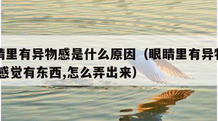 眼睛里有异物感是什么原因（眼睛里有异物感,总感觉有东西,怎么弄出来）