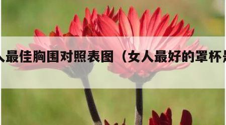 女人最佳胸围对照表图（女人最好的罩杯是多少）
