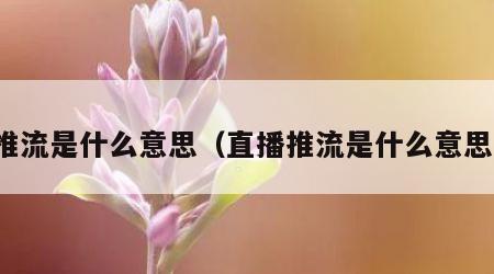 推流是什么意思（直播推流是什么意思）