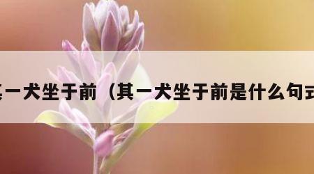其一犬坐于前（其一犬坐于前是什么句式）