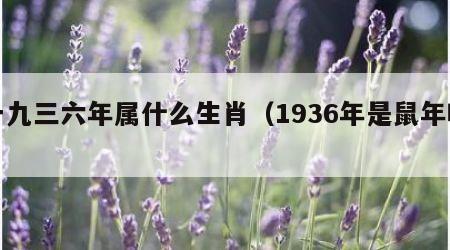 一九三六年属什么生肖（1936年是鼠年吗）