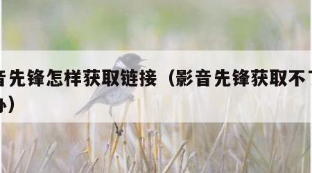 影音先锋怎样获取链接（影音先锋获取不了怎么办）