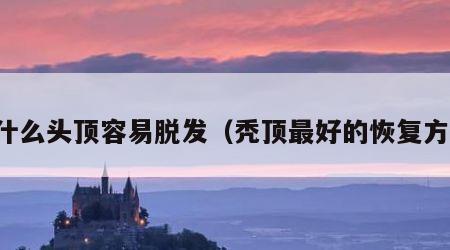 为什么头顶容易脱发（秃顶最好的恢复方法）