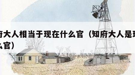知府大人相当于现在什么官（知府大人是现代什么官）