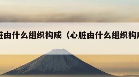 心脏由什么组织构成（心脏由什么组织构成的）