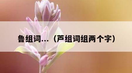 鲁组词...（芦组词组两个字）