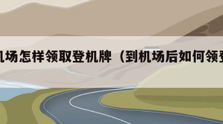 到机场怎样领取登机牌（到机场后如何领登机牌）