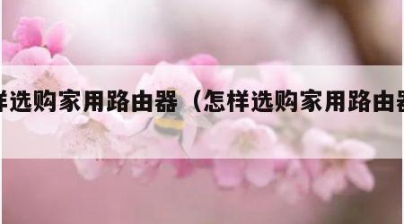 怎样选购家用路由器（怎样选购家用路由器最好）