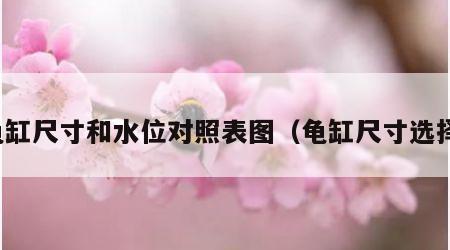龟缸尺寸和水位对照表图（龟缸尺寸选择）
