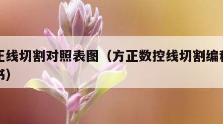方正线切割对照表图（方正数控线切割编程说明书）