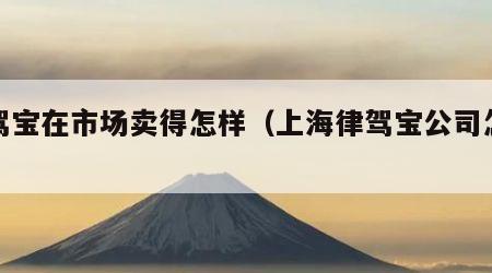 律驾宝在市场卖得怎样（上海律驾宝公司怎么样）