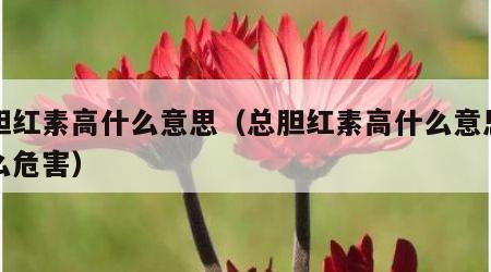 总胆红素高什么意思（总胆红素高什么意思有什么危害）