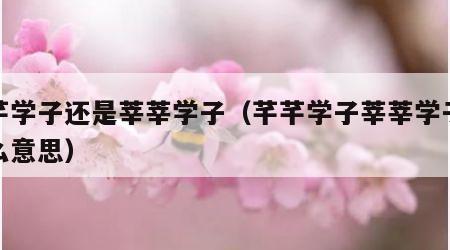芊芊学子还是莘莘学子（芊芊学子莘莘学子是什么意思）