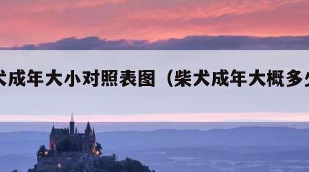 柴犬成年大小对照表图（柴犬成年大概多少斤）