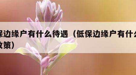 低保边缘户有什么待遇（低保边缘户有什么优惠政策）