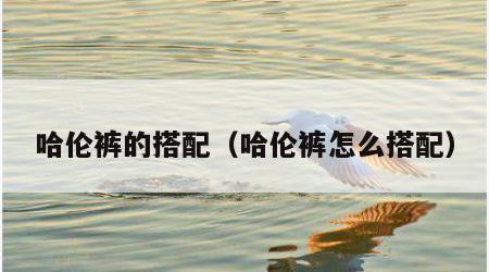 哈伦裤的搭配（哈伦裤怎么搭配）
