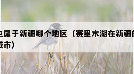奎屯属于新疆哪个地区（赛里木湖在新疆的哪个城市）
