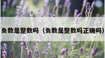 负数是整数吗（负数是整数吗正确吗）
