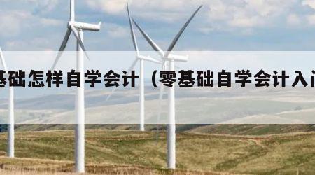 零基础怎样自学会计（零基础自学会计入门知识）