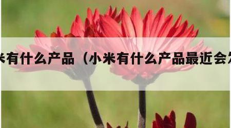 小米有什么产品（小米有什么产品最近会发布）