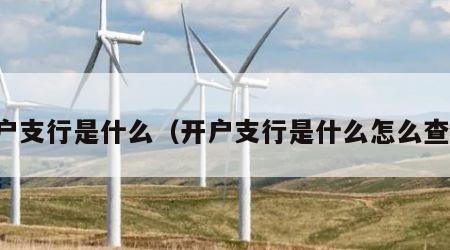 开户支行是什么（开户支行是什么怎么查询）