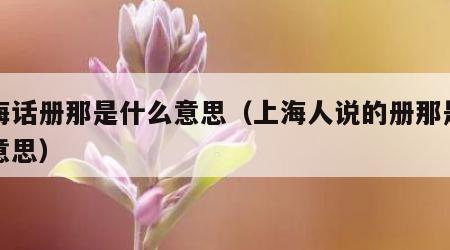 上海话册那是什么意思（上海人说的册那是什么意思）