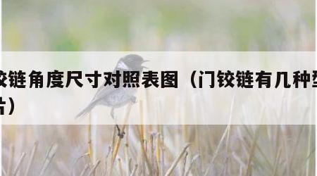 门铰链角度尺寸对照表图（门铰链有几种型号图片）
