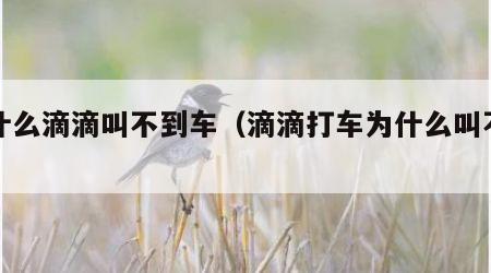为什么滴滴叫不到车（滴滴打车为什么叫不到车）