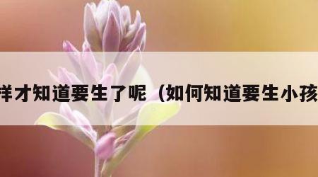 怎样才知道要生了呢（如何知道要生小孩了）
