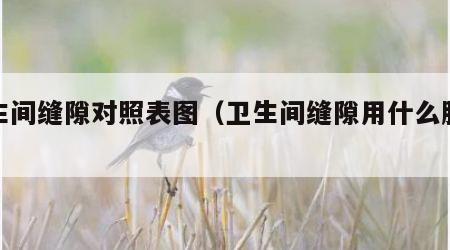卫生间缝隙对照表图（卫生间缝隙用什么胶最好）