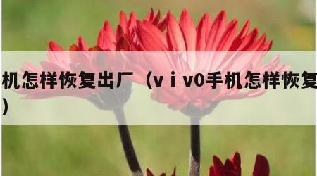 手机怎样恢复出厂（vⅰv0手机怎样恢复出厂）