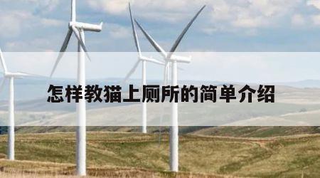 怎样教猫上厕所的简单介绍