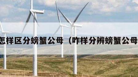 怎样区分螃蟹公母（咋样分辨螃蟹公母）