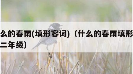 什么的春雨(填形容词)（什么的春雨填形容词二年级）
