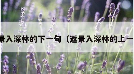 返景入深林的下一句（返景入深林的上一句）