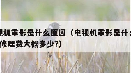 电视机重影是什么原因（电视机重影是什么原因?修理费大概多少?）