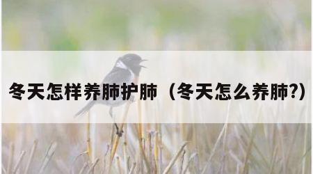 冬天怎样养肺护肺（冬天怎么养肺?）
