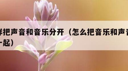 怎样把声音和音乐分开（怎么把音乐和声音合在一起）