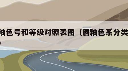 唇釉色号和等级对照表图（唇釉色系分类 色卡）