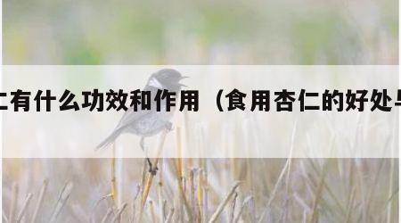 杏仁有什么功效和作用（食用杏仁的好处与坏处）