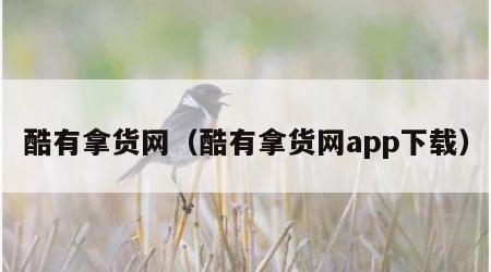 酷有拿货网（酷有拿货网app下载）