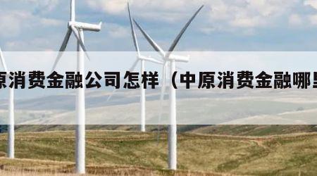 中原消费金融公司怎样（中原消费金融哪里的）
